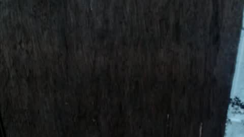 Nica online show from October 2025 08:54:02 AM