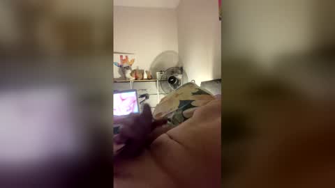 dangros438435 online show from March 2026 02:50:02 PM