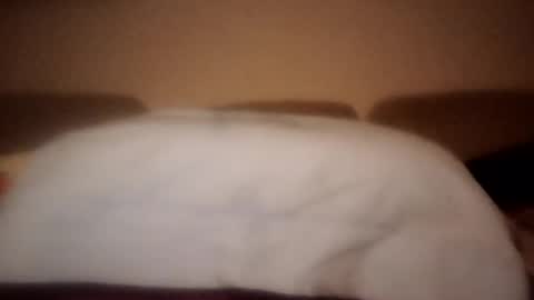 Snapshot of dani225812 chatting on September 2025 08:44:01 PM Dani225812 online show from September 2025 08:44:01 PM