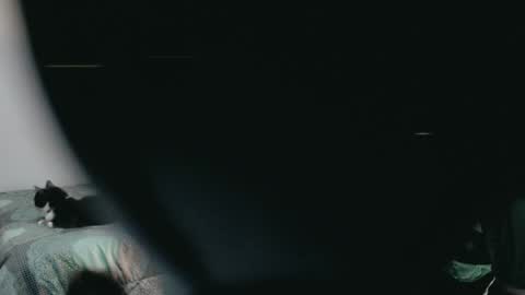 dani y jocelyn online show from March 2025 11:53:01 PM