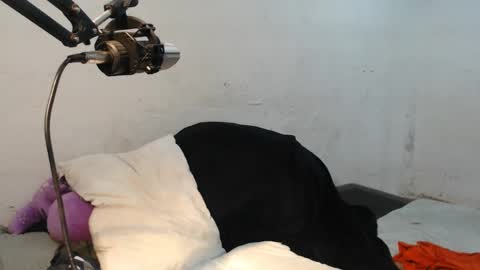 Snapshot of danielitopapii chatting on December 2024 06:49:01 PM danielitopapii online show from December 2024 06:49:01 PM