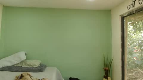 Snapshot of danielitopapii chatting on January 2026 04:00:01 PM danielitopapii online show from January 2026 04:00:01 PM