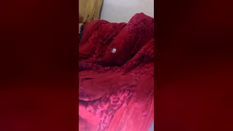 dandeb online show from June 2026 10:51:02 AM