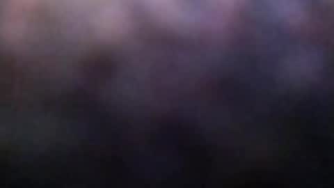 Snapshot of dannowisc chatting on February 2026 02:20:02 AM dannowisc online show from February 2026 02:20:02 AM