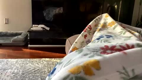 Snapshot of dannyboy621 chatting on October 2025 01:17:01 PM dannyboy621 online show from October 2025 01:17:01 PM