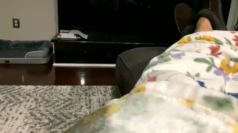 Snapshot of dannyboy621 chatting on October 2025 09:33:01 AM dannyboy621 online show from October 2025 09:33:01 AM