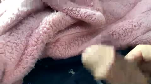 Snapshot of dannyboy621 chatting on November 2025 02:16:02 PM dannyboy621 online show from November 2025 02:16:02 PM