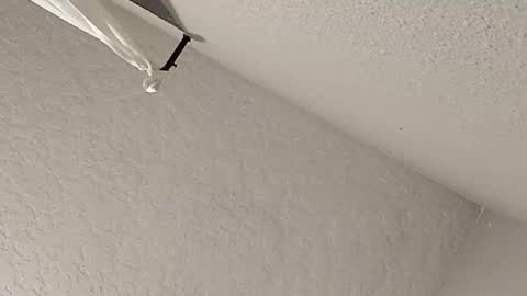 dano9696 online show from February 2026 07:28:01 AM