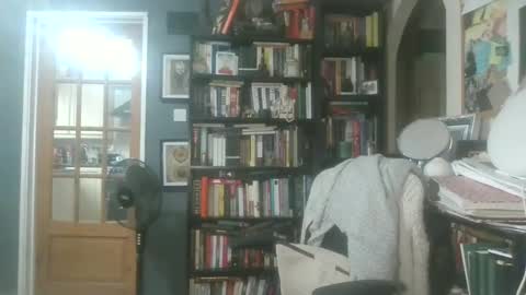 Darcy online show from January 2025 12:54:01 PM