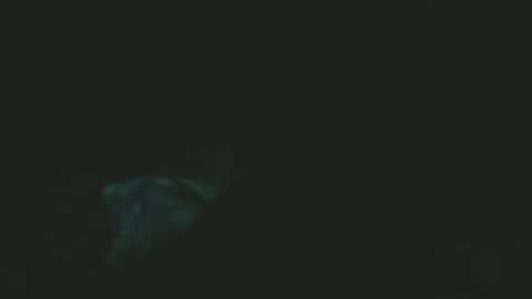 dare2do1 online show from November 2025 07:29:02 PM