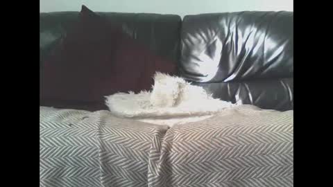 Snapshot of darealdondaddy chatting on March 2025 11:58:01 AM DaRealDonDaddy online show from March 2025 11:58:01 AM