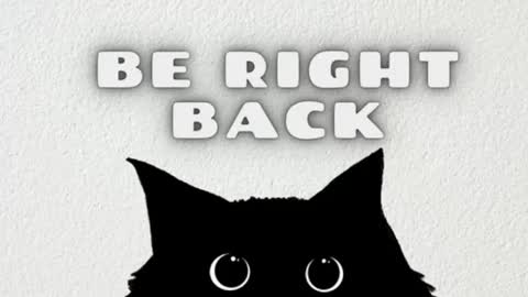 Snapshot of darienlarge chatting on January 2026 09:33:02 AM darienlarge online show from January 2026 09:33:02 AM