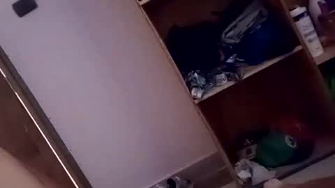 Snapshot of dario1127 chatting on October 2025 01:33:02 PM dario1127 online show from October 2025 01:33:02 PM