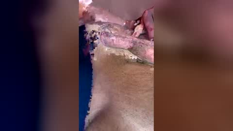 Snapshot of darklight69s25 chatting on April 2026 03:28:01 PM darklight69s25 online show from April 2026 03:28:01 PM