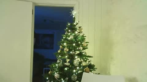 Snapshot of dartanjanas chatting on December 2024 07:56:01 PM Dario online show from December 2024 07:56:01 PM