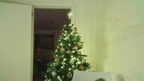 Snapshot of dartanjanas chatting on January 2025 04:06:01 PM Dario online show from January 2025 04:06:01 PM