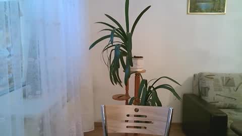 Dario online show from December 2025 11:15:01 AM