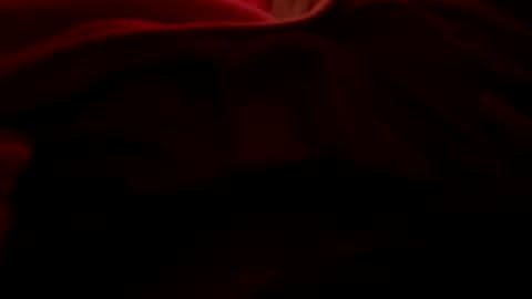 dasquirtmaster online show from March 2026 10:48:02 AM