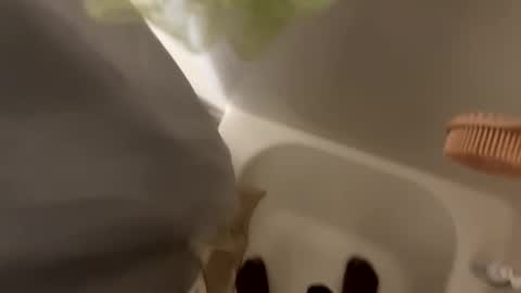 dasquirtmaster online show from March 2026 10:43:02 PM