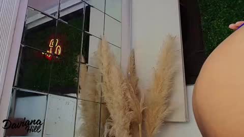 Snapshot of daviana_hill chatting on February 2026 11:57:02 AM daviana_hill online show from February 2026 11:57:02 AM