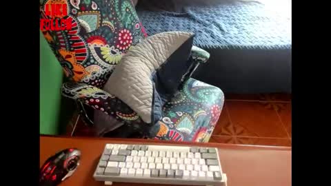 David online show from February 2026 06:44:02 PM