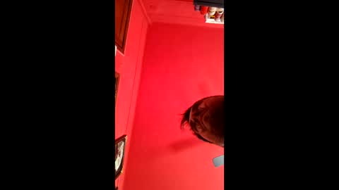 Snapshot of david_argentina chatting on January 2026 06:35:02 PM david_argentina online show from January 2026 06:35:02 PM