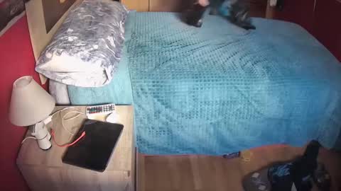 Hugo online show from February 2025 11:09:02 AM