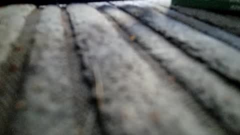 davros8621 online show from November 2025 01:13:01 PM