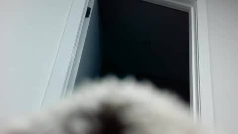 Davvyd online show from September 2025 04:31:02 PM