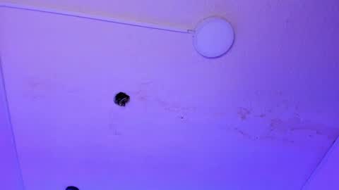 Snapshot of dayana_harlow2 chatting on January 2025 10:13:02 PM dayana_harlow2 online show from January 2025 10:13:02 PM