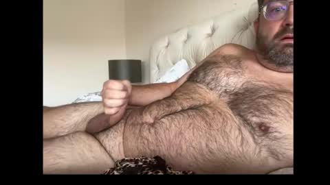 db197860693 online show from October 2025 11:08:02 AM