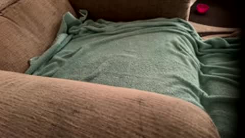 Snapshot of dcooper92 chatting on April 2026 01:05:01 PM dcooper92 online show from April 2026 01:05:01 PM