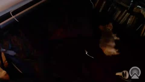DCTeamFucker online show from July 2026 01:20:02 AM