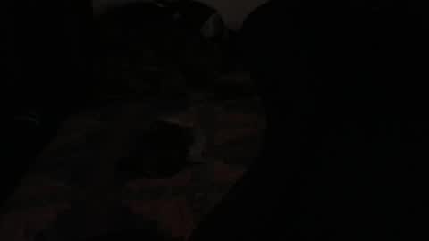 Snapshot of ddc444 chatting on November 2025 02:22:01 AM DC online show from November 2025 02:22:01 AM