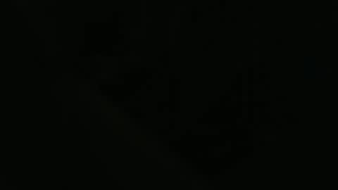 ddog1993 online show from April 2026 09:55:01 AM