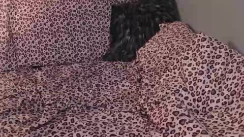 Snapshot of deadaux chatting on February 2026 07:09:02 AM deadaux online show from February 2026 07:09:02 AM