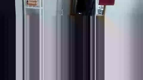 decoyx5o5 online show from March 2025 06:33:02 PM