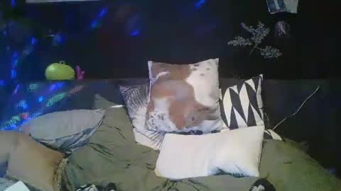 Snapshot of deebo1987 chatting on December 2024 02:58:01 AM Deen online show from December 2024 02:58:01 AM