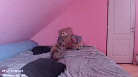 Snapshot of deessert chatting on February 2025 02:53:01 AM Deessert online show from February 2025 02:53:01 AM