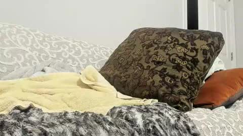 Deez Nutz online show from February 2025 05:33:01 AM