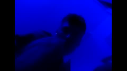 deezzee_5280 online show from February 2026 09:08:02 AM