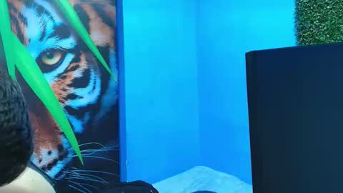 DEIBY online show from January 2026 07:11:01 PM