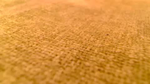 Snapshot of deliciaalove chatting on December 2024 07:37:02 PM deliciaalove online show from December 2024 07:37:02 PM