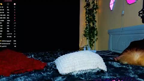 Demmi online show from February 2025 12:48:01 AM