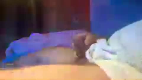 den2807 online show from July 2026 03:03:01 PM