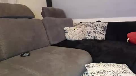 Snapshot of denise_brad chatting on November 2025 05:13:01 PM Denise and Brad online show from November 2025 05:13:01 PM