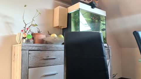 Snapshot of denise_brad chatting on April 2026 04:40:02 PM Denise and Brad online show from April 2026 04:40:02 PM