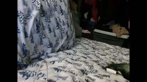 deroseblack online show from January 2025 04:50:02 AM