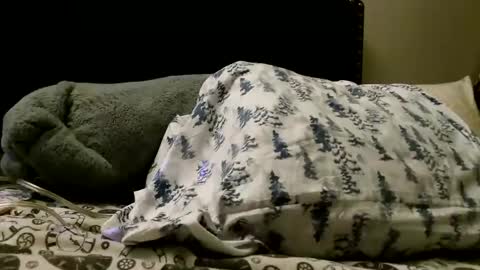 deroseblack online show from February 2025 05:22:01 AM