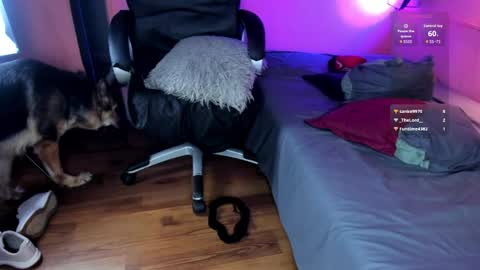 NTMY guys im a kinda desi from Medellin  online show from April 2026 09:06:02 PM